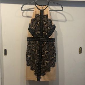 Black lace and cream Bebe mini